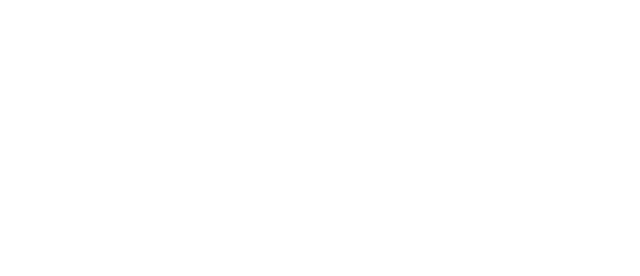 databricks logo