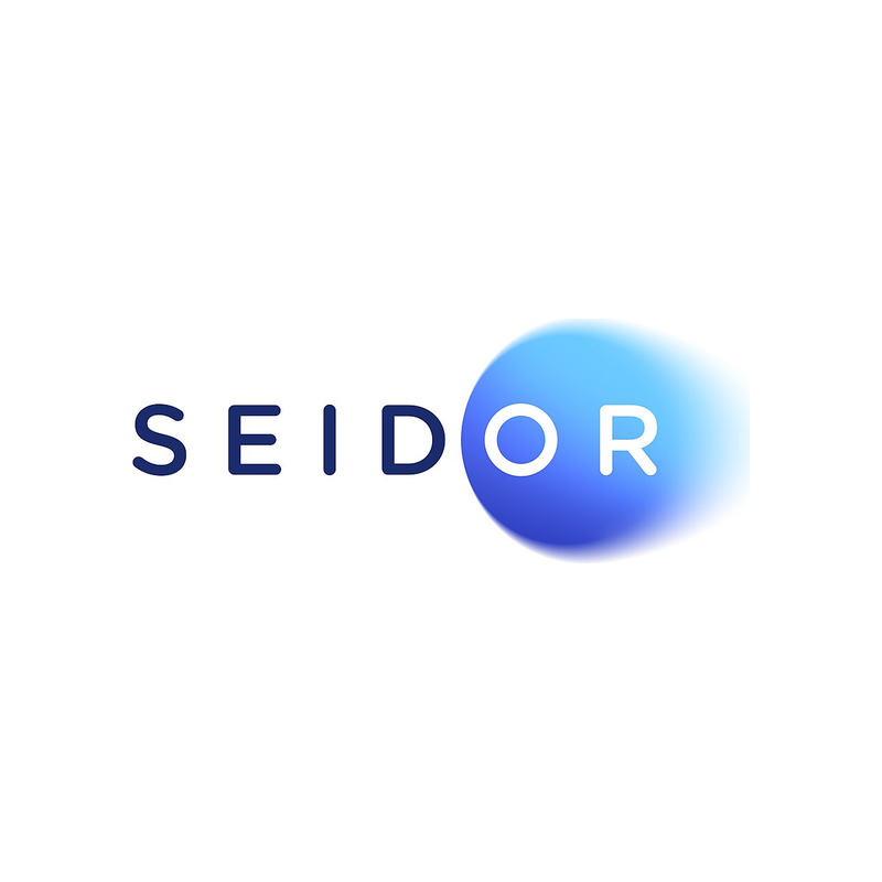 Seidor Consulting logo