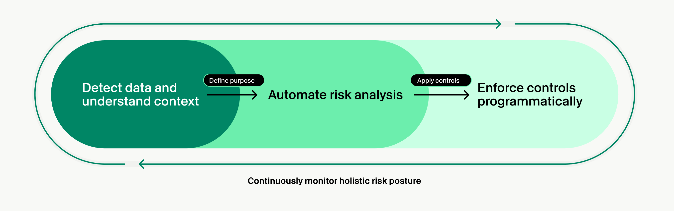 Illustration of a continuous risk management workflow showing data detection and context understanding, automated risk analysis, programmatic control enforcement, and continuous monitoring of overall risk posture.