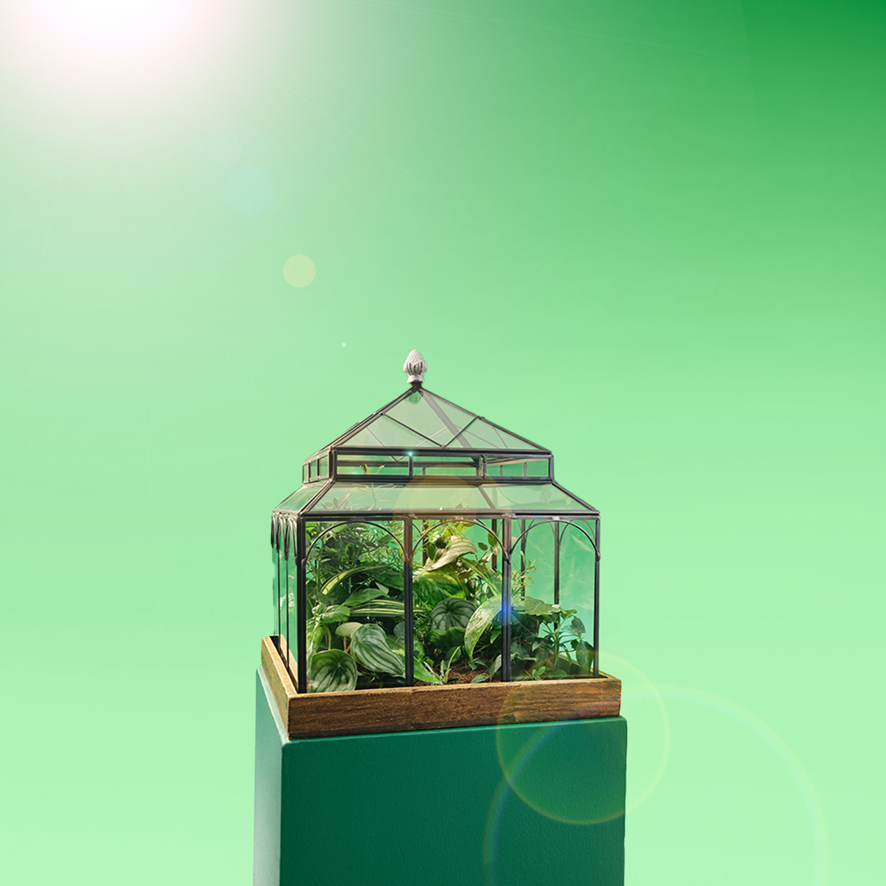Image of a greenhouse against green gradient background