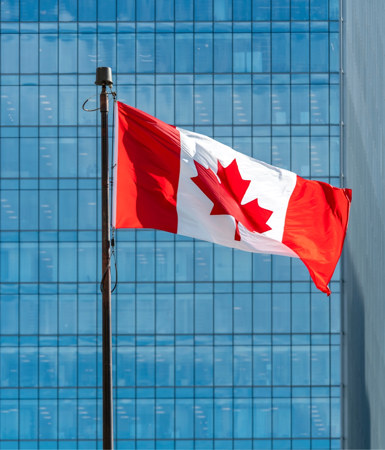 The Canadian flag flies in front of an office building.