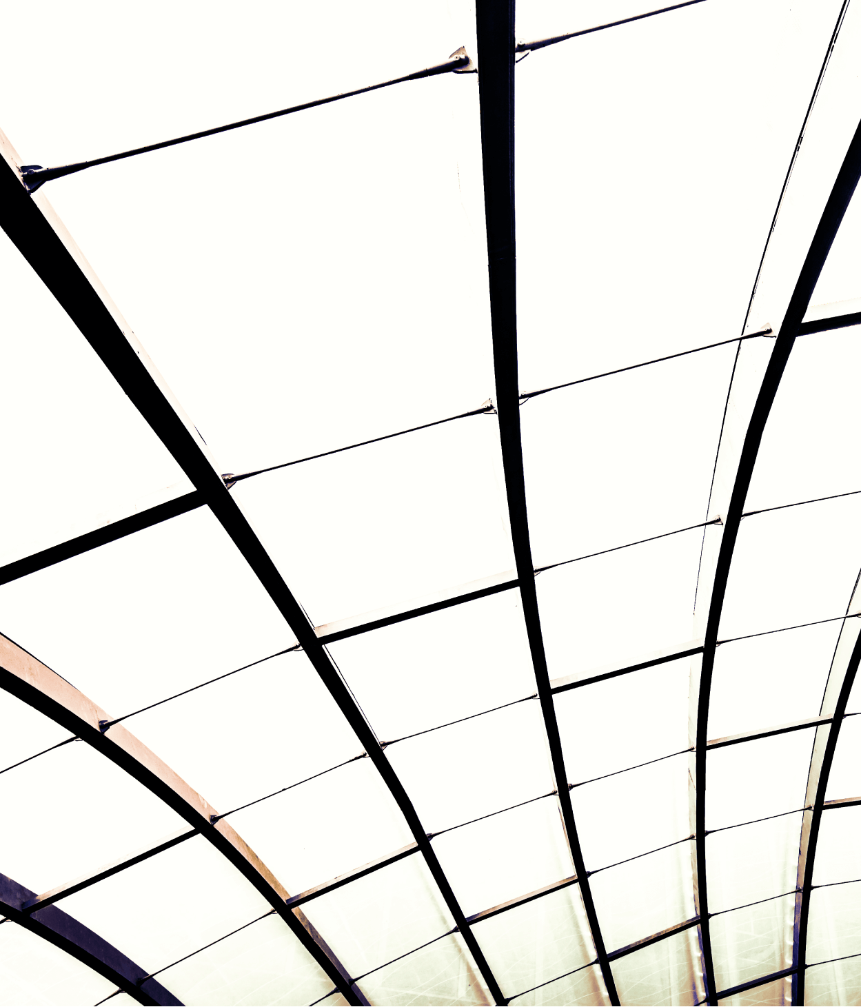 Photo from below a curved glass ceiling