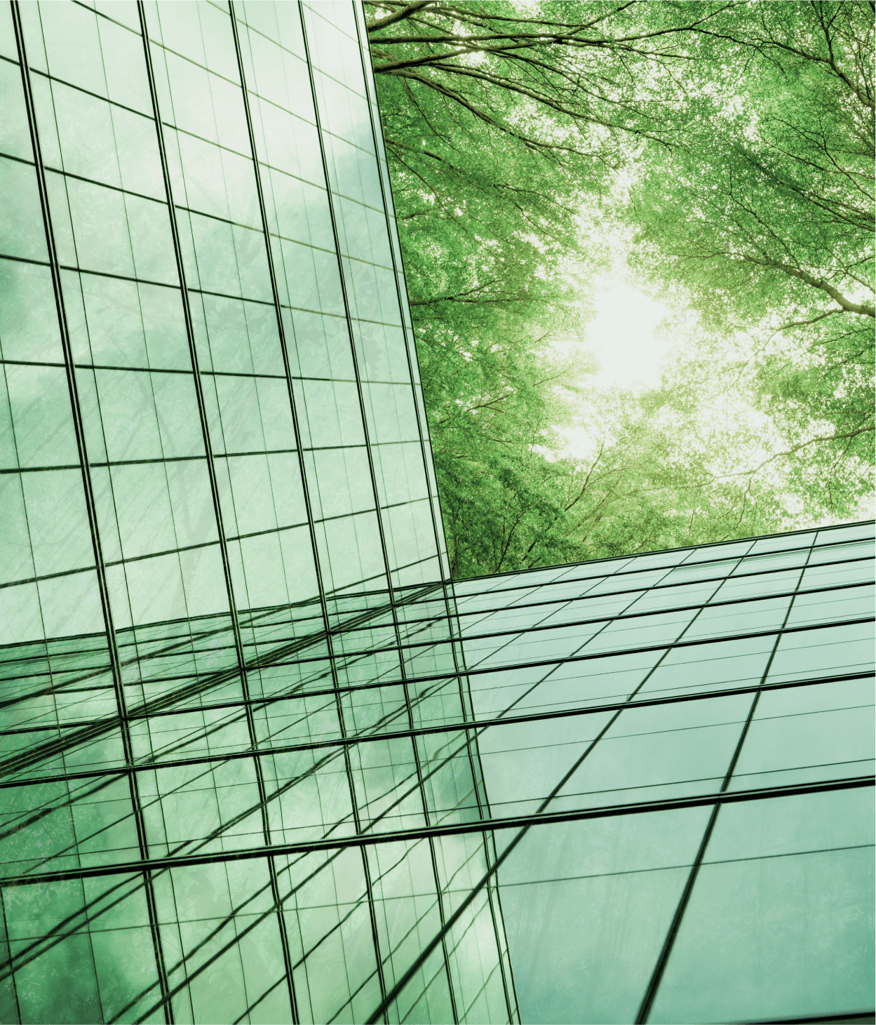 Eco-friendly building in the modern city. Green tree branches with leaves and sustainable glass building for reducing heat and carbon dioxide. Office building with green environment. Go green concept.