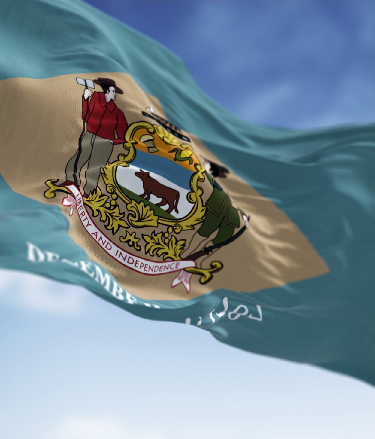 Closeup of the Delaware state flag