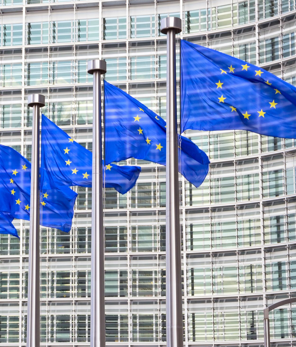 EU flags in front of a government building