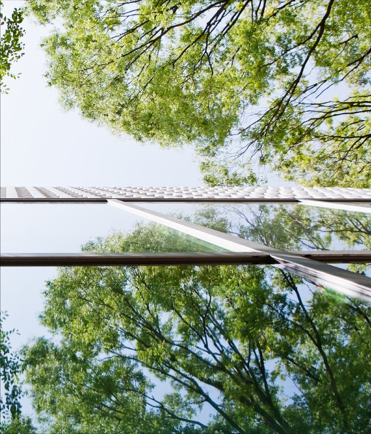 Low-angle photo of an office building with a nearby tree's reflection on its windows.