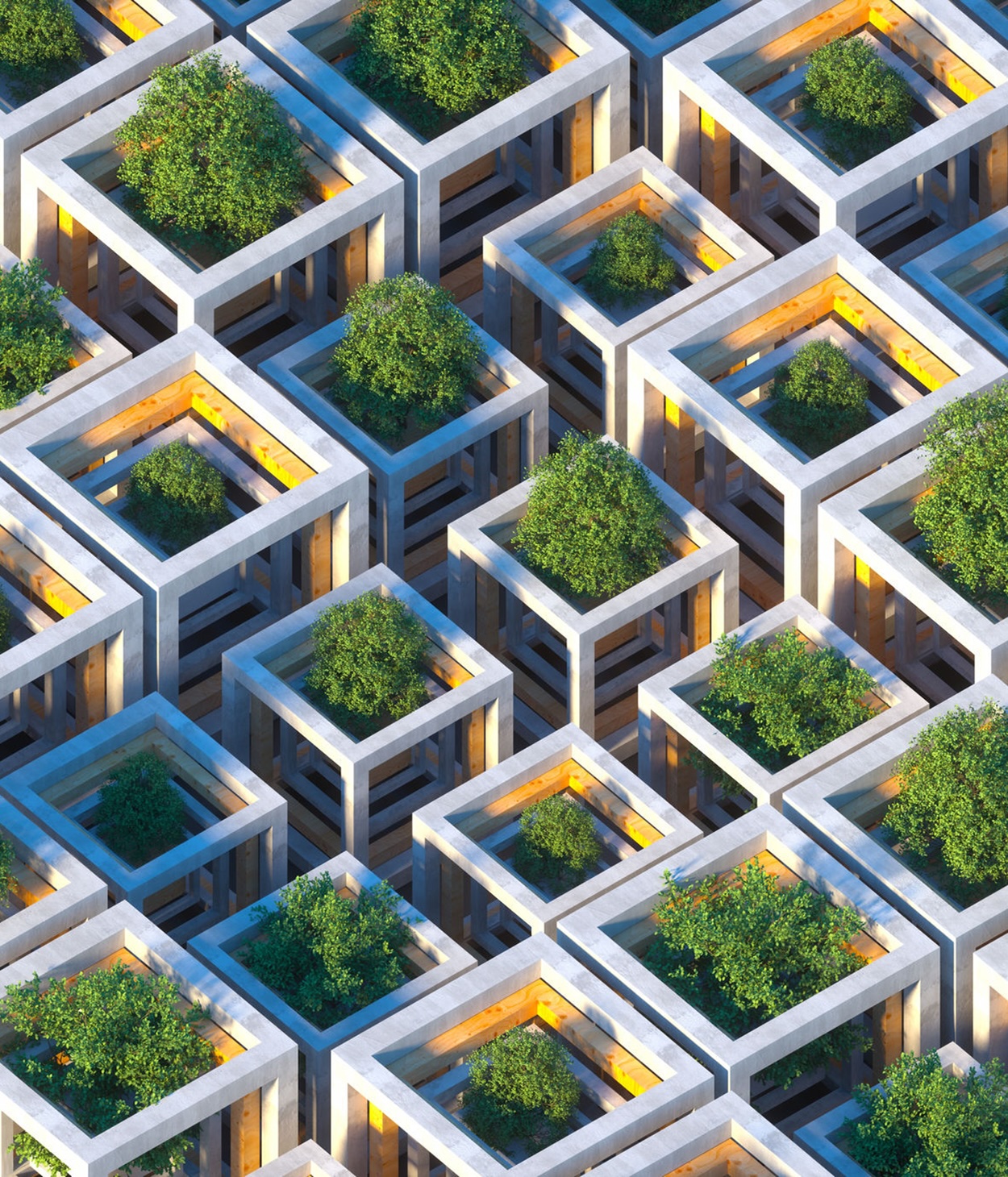 Digital generated image of futuristic sustainable cubic shapes made out of concrete and wood with growing trees inside each cube. Sustainability concept.