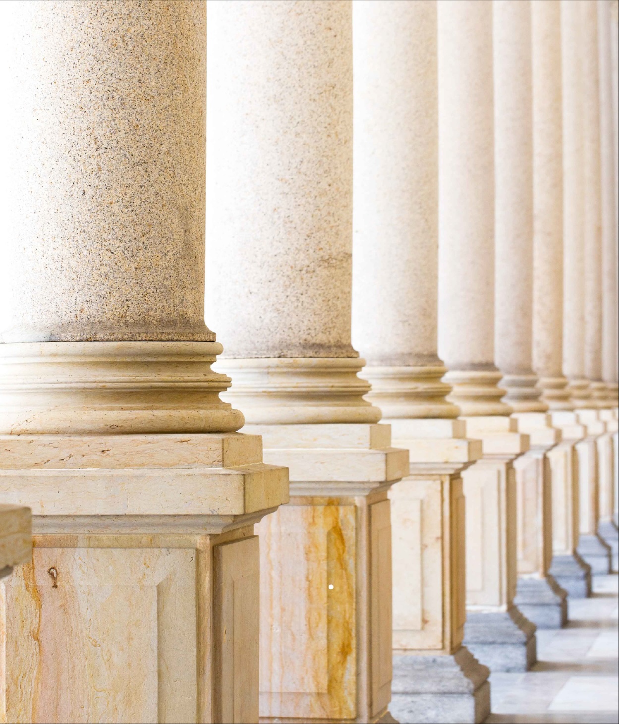 Neo-classical columns in a government building