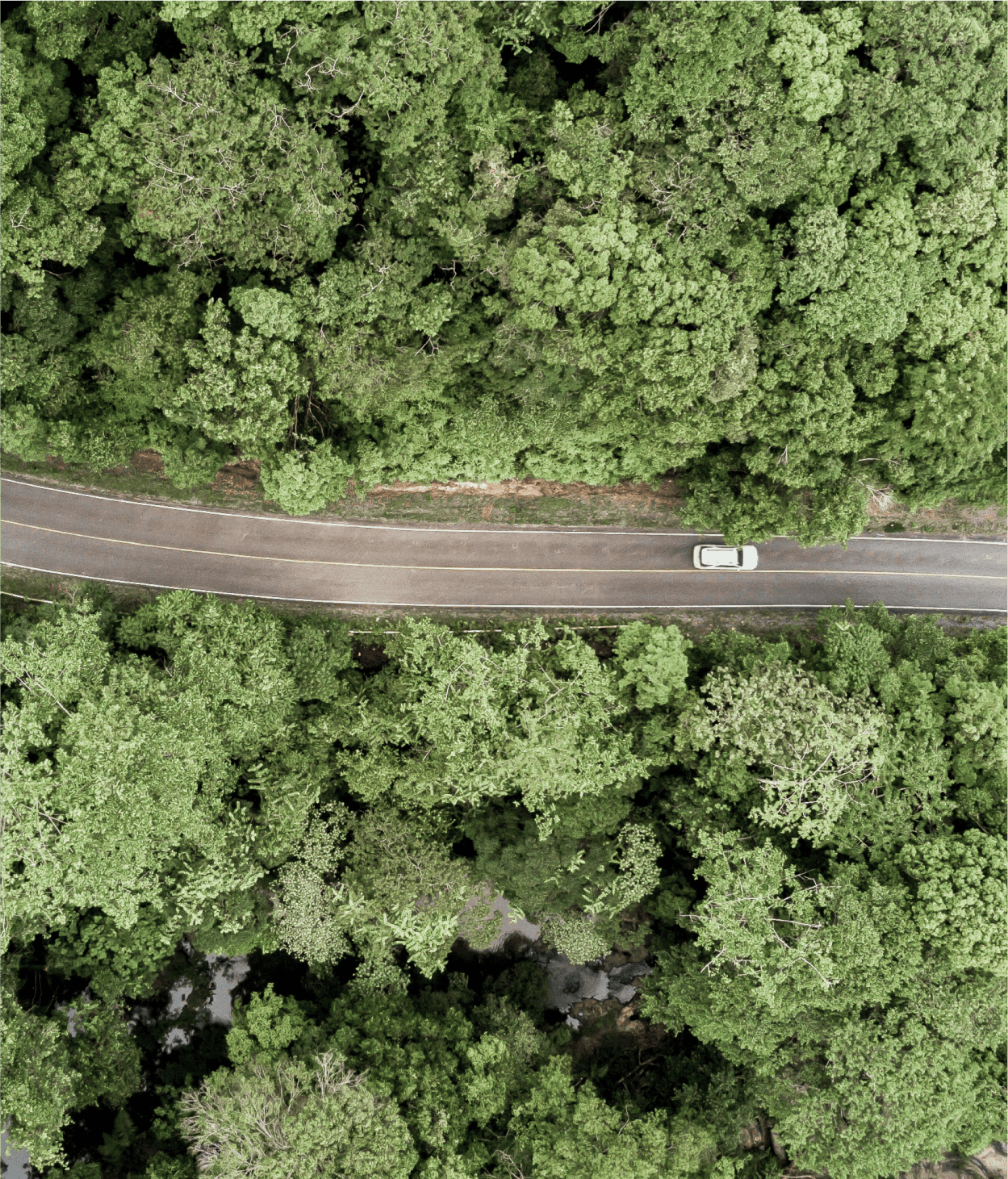 Aerial view asphalt road and green forest, Forest road going through forest with car adventure view from above, Ecosystem and ecology healthy environment concepts and background.