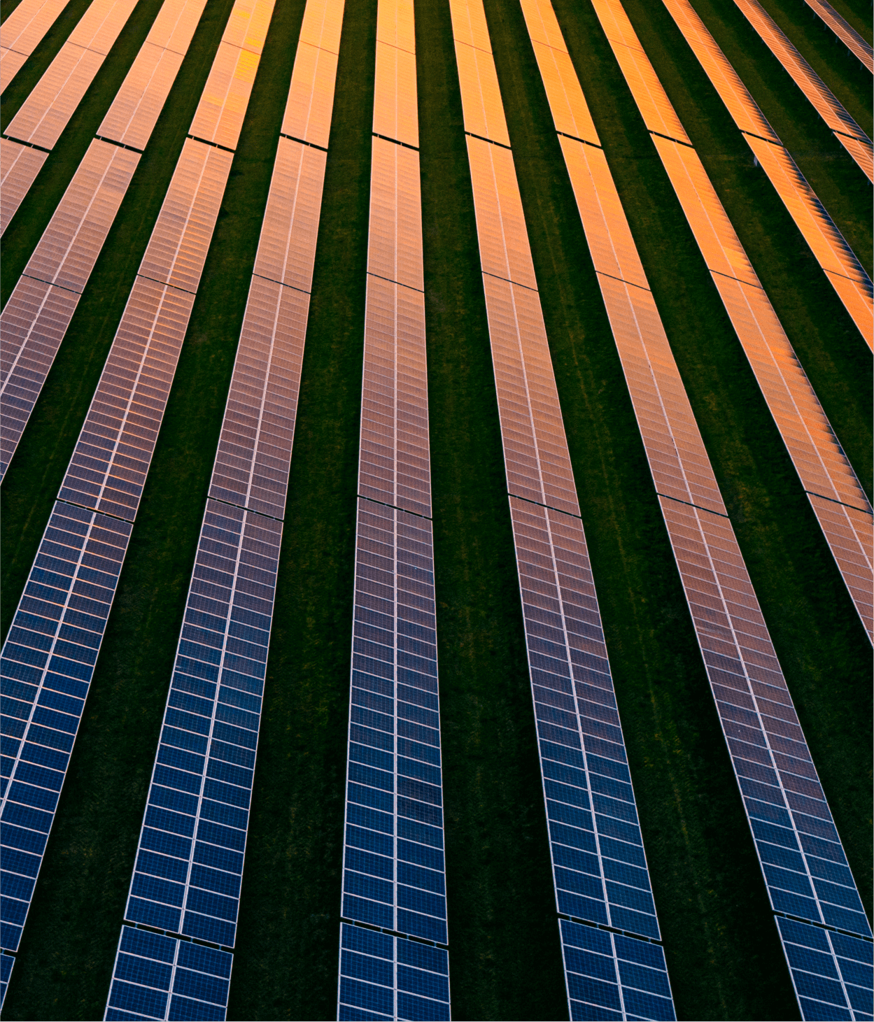 photo of rows of solar panels in a rural farm. The dusk sun is setting, giving a amber and blue color to the solar panels.