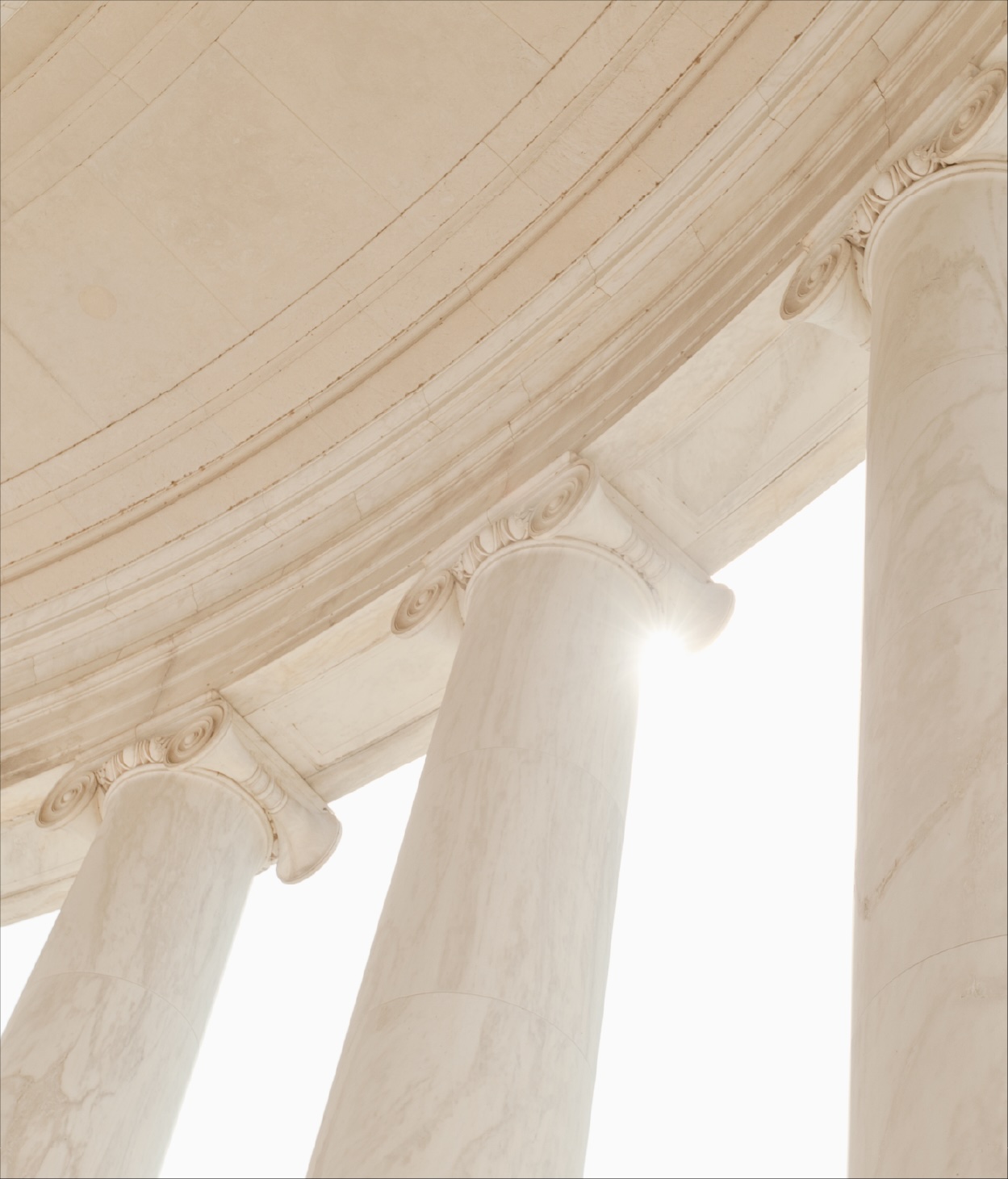 Neoclassical columns of a government building's façade.