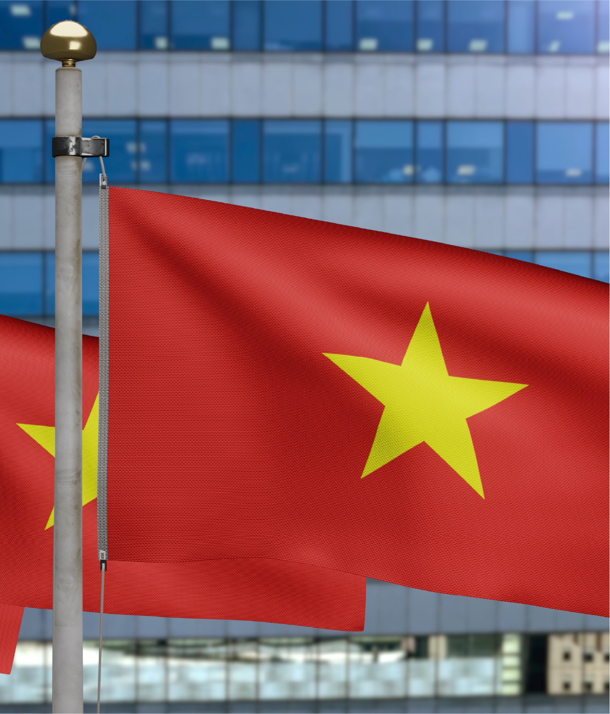 Vietnamese flags in front of an office building