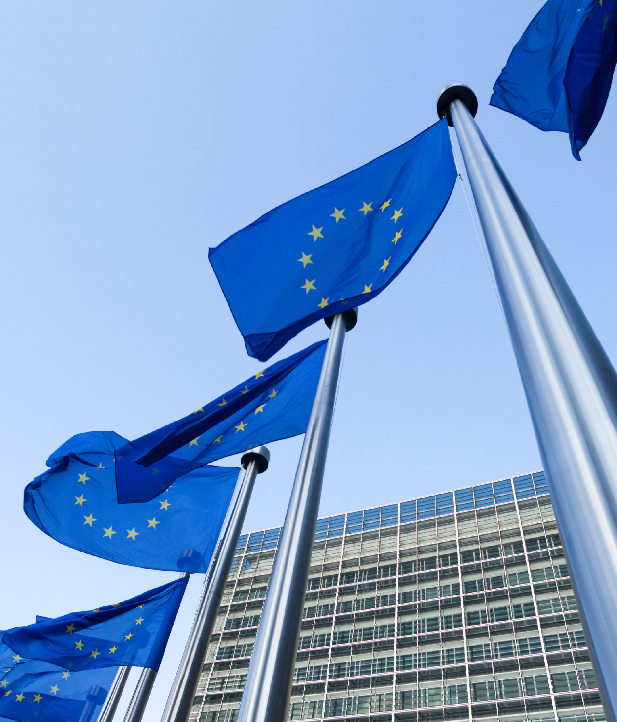 EU flags in front of glass building