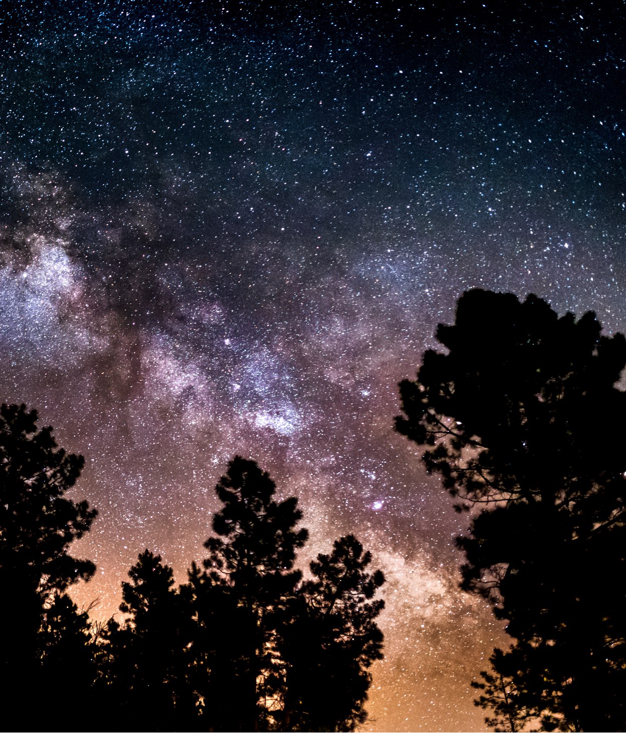 The Milky Way behind tree silouhettes