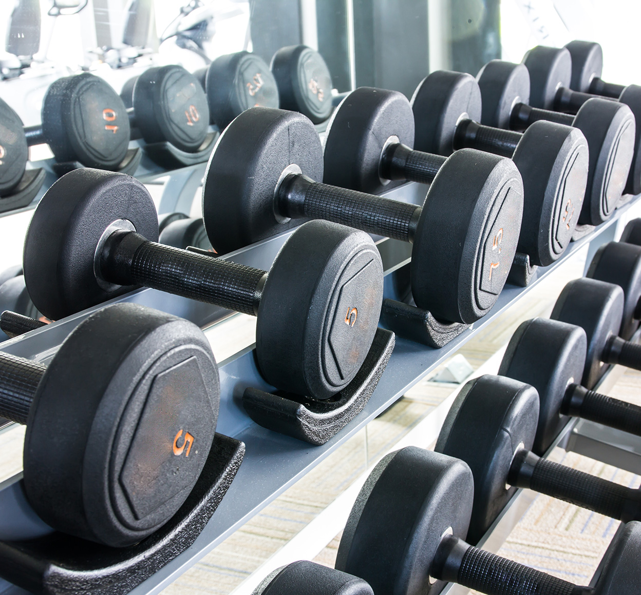 Dumbbells on weight rack