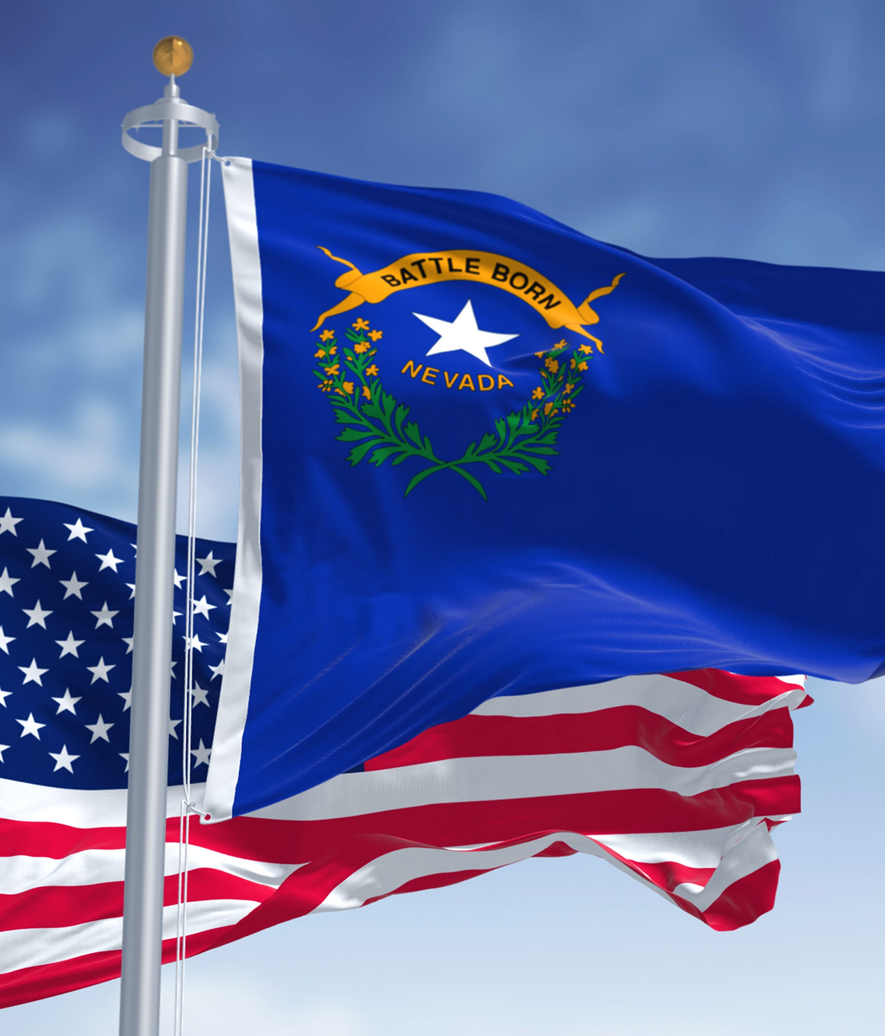 Umsetzung des Nevada Privacy Law 