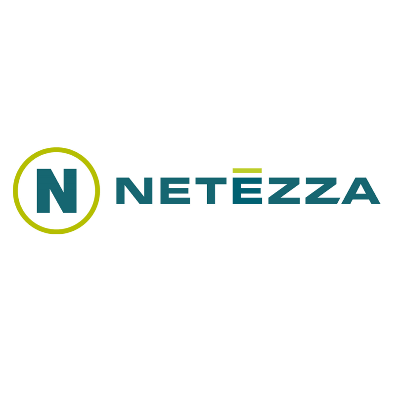 Netezza logo