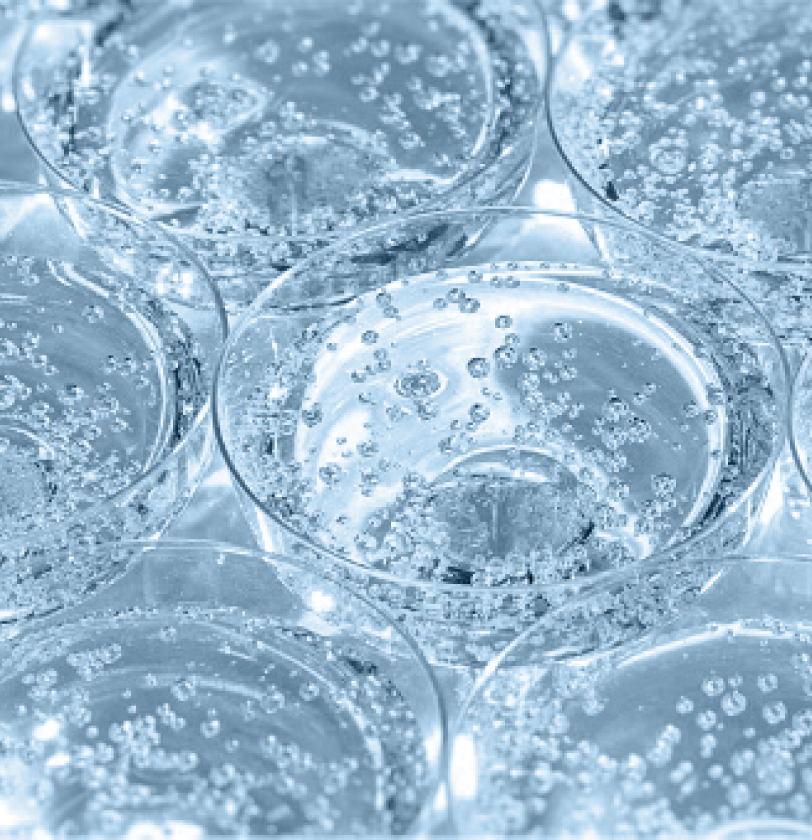 Close up overhead view of bubbly drinks
