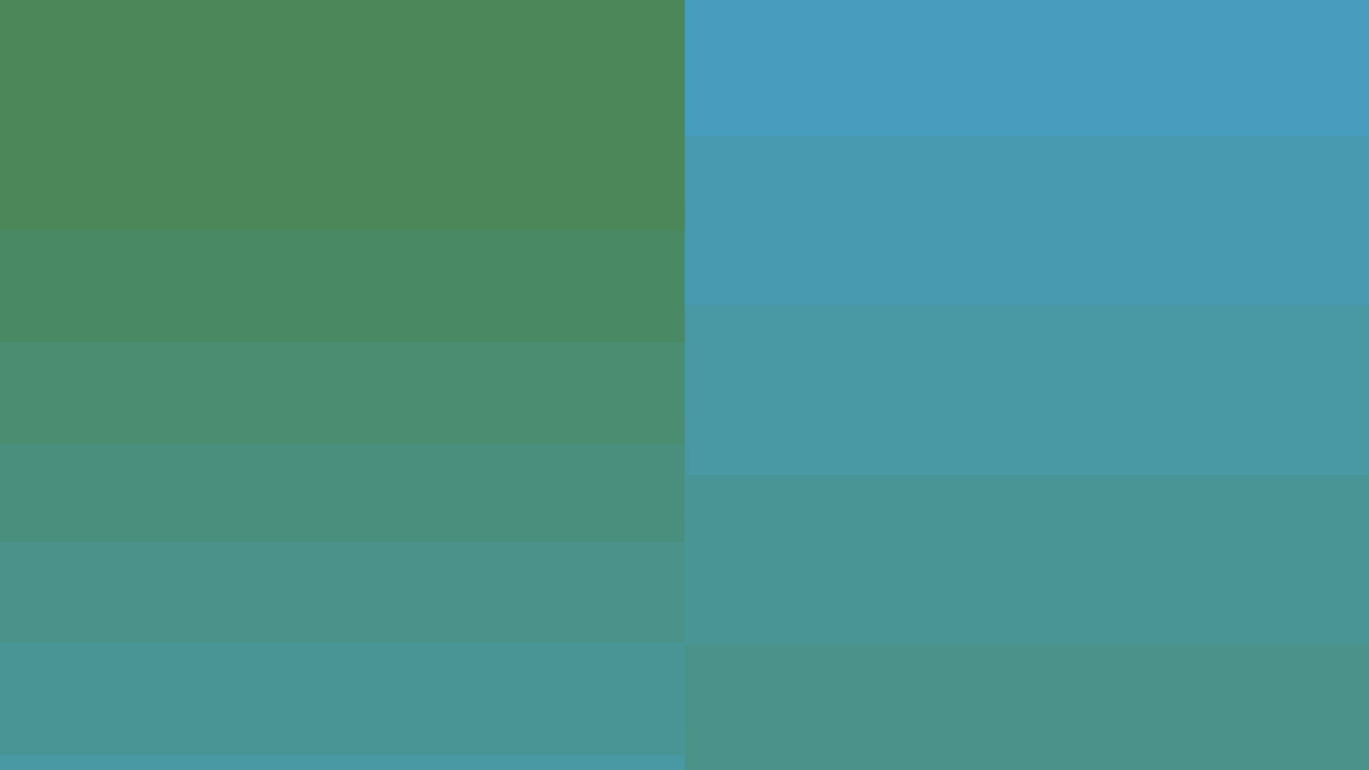 example of the visibility animation with text and logo