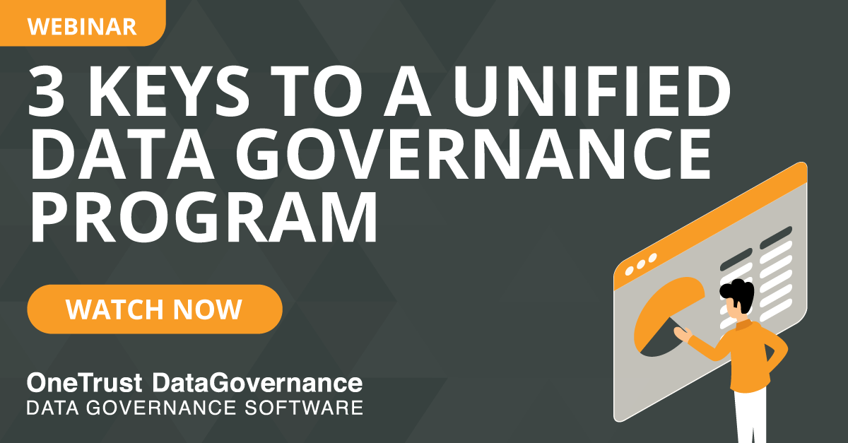 data governance program