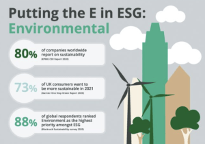 ESG Infographic explaining Environmental element of ESG