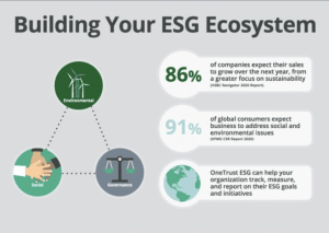 ESG Infographic explaining the ESG ecosystem