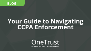 Your Guide to Navigating CCPA Enforcement