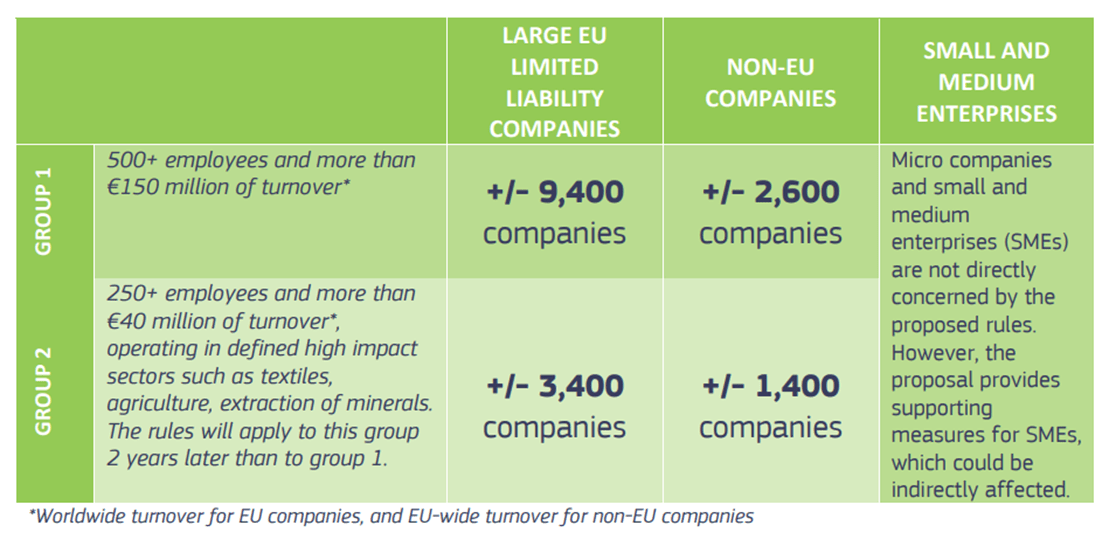 EU sustainability due diligence which companies