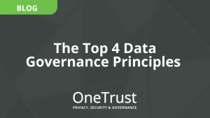 The Top 4 Data Governance Principles
